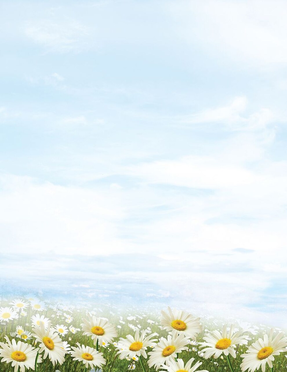 Great Papers! Daisy Day Stationery Letterhead, Invitations and Announcements, Printer Friendly, 8.5"x11", 80 Pack